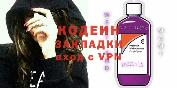 индика Балахна